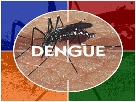 ¿Qué es el DENGUE? Es una enfermedad infecciosa, aguda, causada por un virus y que se transmite al hombre por la picadura del mosquito Aedes Aegypti. Se.