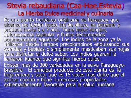 Stevia rebaudiana (Caa-Hee,Estevia) La Hierba Dulce medicinal y culinaria Es una planta herbácea originaria de Paraguay que alcanza de 0,60m hasta 1m de.