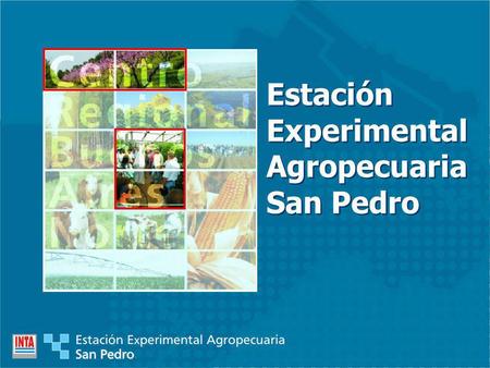 Estación Experimental Agropecuaria San Pedro.