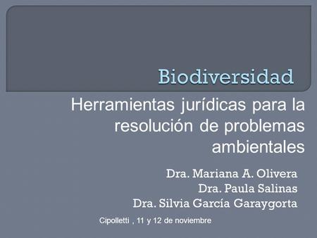 Biodiversidad Herramientas jurídicas para la resolución de problemas ambientales Dra. Mariana A. Olivera Dra. Paula Salinas Dra. Silvia García Garaygorta.