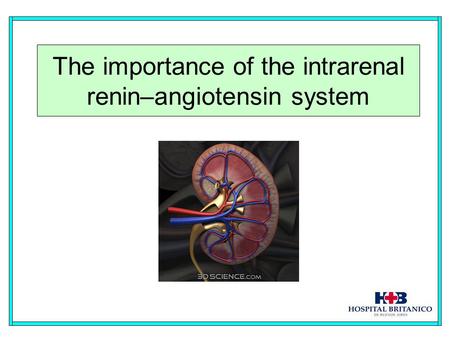 The importance of the intrarenal renin–angiotensin system