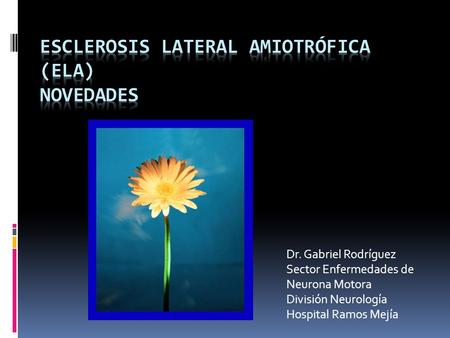 Esclerosis Lateral Amiotrófica (ELA) Novedades