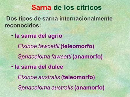 Sarna de los cítricos Dos tipos de sarna internacionalmente reconocidos: la sarna del agrio Elsinoe fawcettii (teleomorfo) Sphaceloma.