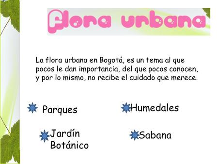 La flora urbana en Bogotá, es un tema al que pocos le dan importancia, del que pocos conocen, y por lo mismo, no recibe el cuidado que merece. Parques.