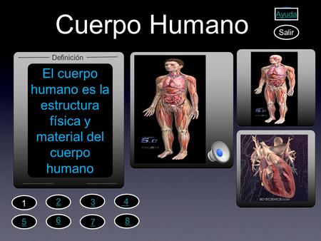 El cuerpo humano es la estructura física y material del cuerpo humano