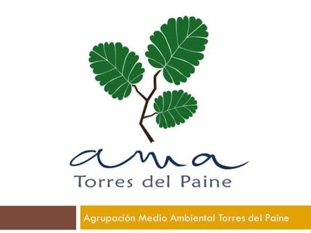 Agrupación Medio Ambiental Torres del Paine. AMA es… Una organización medioambiental que trabaja por el cuidado de los recursos naturales y culturales.