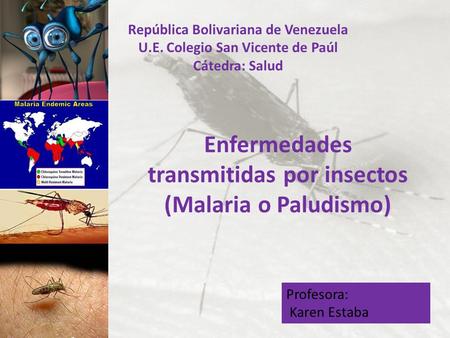 Enfermedades transmitidas por insectos (Malaria o Paludismo)