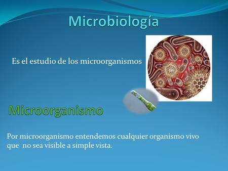 Es el estudio de los microorganismos