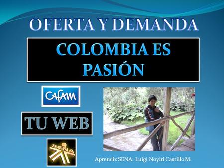 OFERTA Y DEMANDA COLOMBIA ES PASIÓN TU WEB