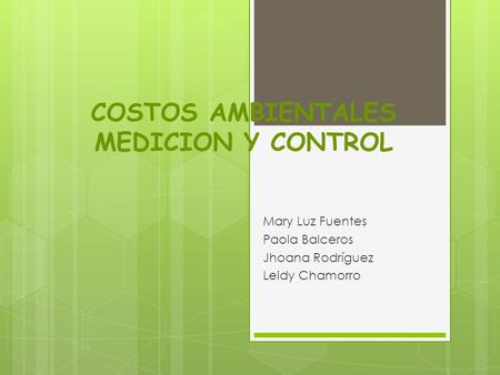 COSTOS AMBIENTALES MEDICION Y CONTROL