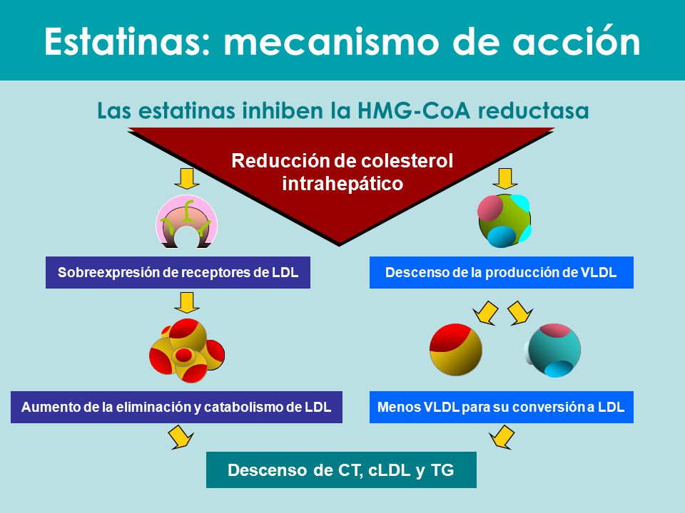 Guía de Buena Práctica Clínica en Dislipemias - ppt descargar Guía de Buena Práctica Clínica en Dislipemias - ppt descargar
