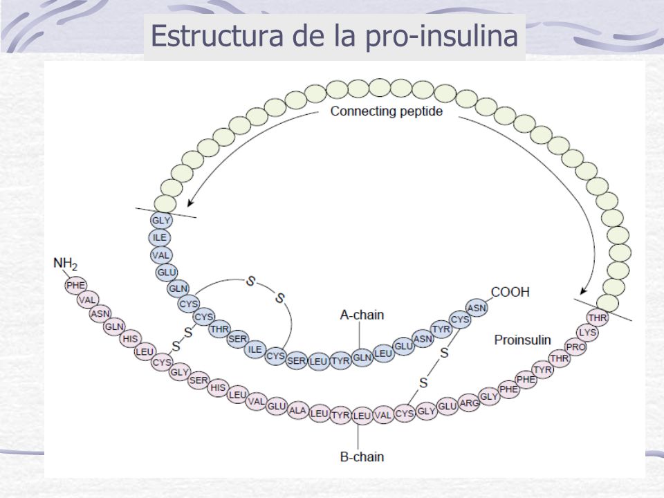Area Química Biológica - ppt descargar Area Química Biológica - ppt descargar