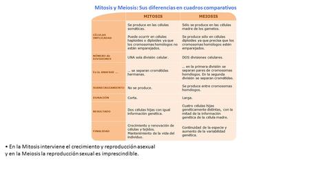Mitosis y Meiosis: Sus diferencias en cuadros comparativos En la Mitosis interviene el crecimiento y reproducción asexual y en la Meiosis la reproducción.