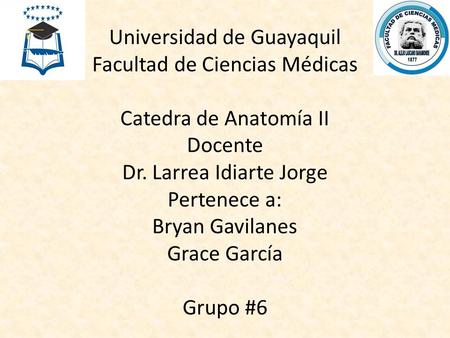 Universidad de Guayaquil Facultad de Ciencias Médicas Catedra de Anatomía II Docente Dr. Larrea Idiarte Jorge Pertenece a: Bryan Gavilanes Grace García.