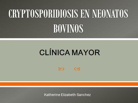  Katherine Elizabeth Sanchez CLÍNICA MAYOR. La Criptosporidiosis es una infección causada por protozoarios del género Cryptosporidium (Apicomplexa:Cryptosporiidae)