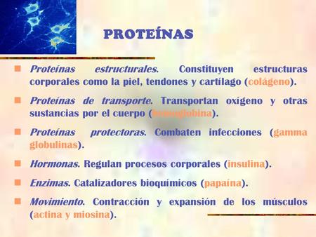 PROTEÍNAS Proteínas estructurales. Constituyen estructuras corporales como la piel, tendones y cartílago (colágeno). Proteínas de transporte. Transportan.