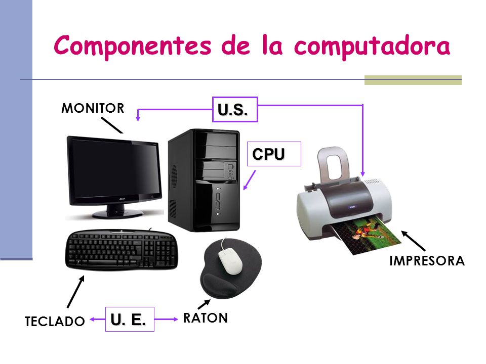 Componentes Físicos Y Lógicos De Un Computador Ppt Video Online Descargar