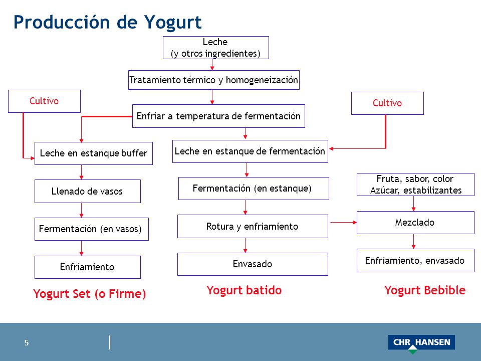 PRODUCCION DE YOGUR A NIVEL INDUSTRIAL