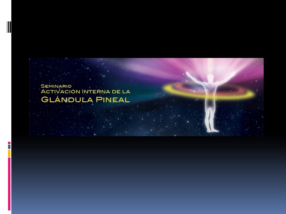 Activacion De La Glandula Pineal Freesia Castro Pdf Download