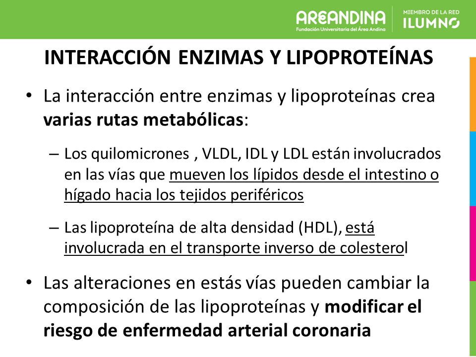 EJERCICIO ENFERMEDADES METABÓLICAS: DISLIPIDEMIA - ppt EJERCICIO ENFERMEDADES METABÓLICAS: DISLIPIDEMIA - ppt
