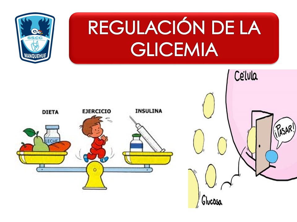 REGULACIÓN DE LA GLICEMIA - ppt descargar REGULACIÓN DE LA GLICEMIA - ppt descargar