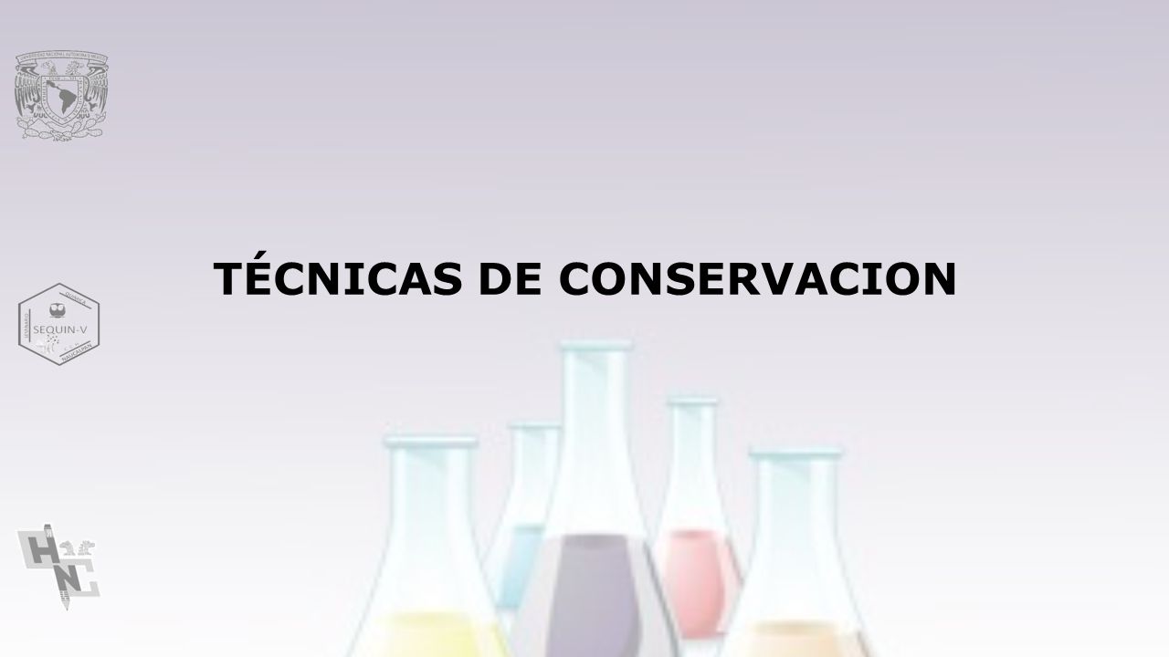 5 tecnicas de conservacion de alimentos t 201 cnicas de conservaci 211 n de alimentos ppt video online 5 tecnicas de conservacion de alimentos t 201 cnicas de conservaci 211 n de alimentos ppt video online