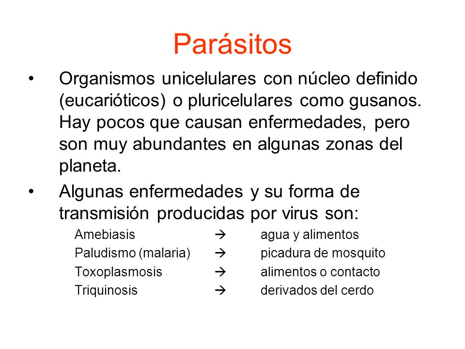 Los parásitos del pájaro a la persona