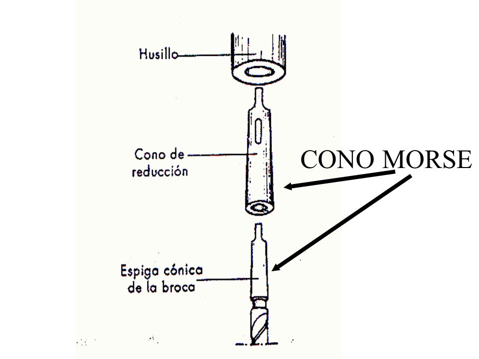 cono