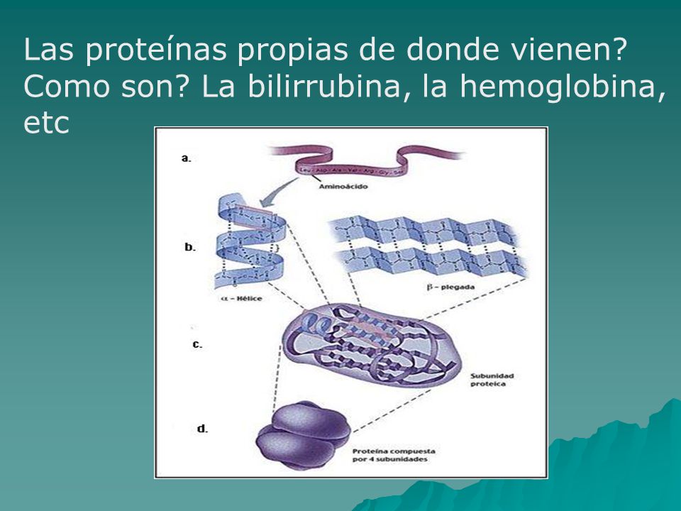ADN, estructura, replicación y organización genómica ADN, estructura, replicación y organización genómica