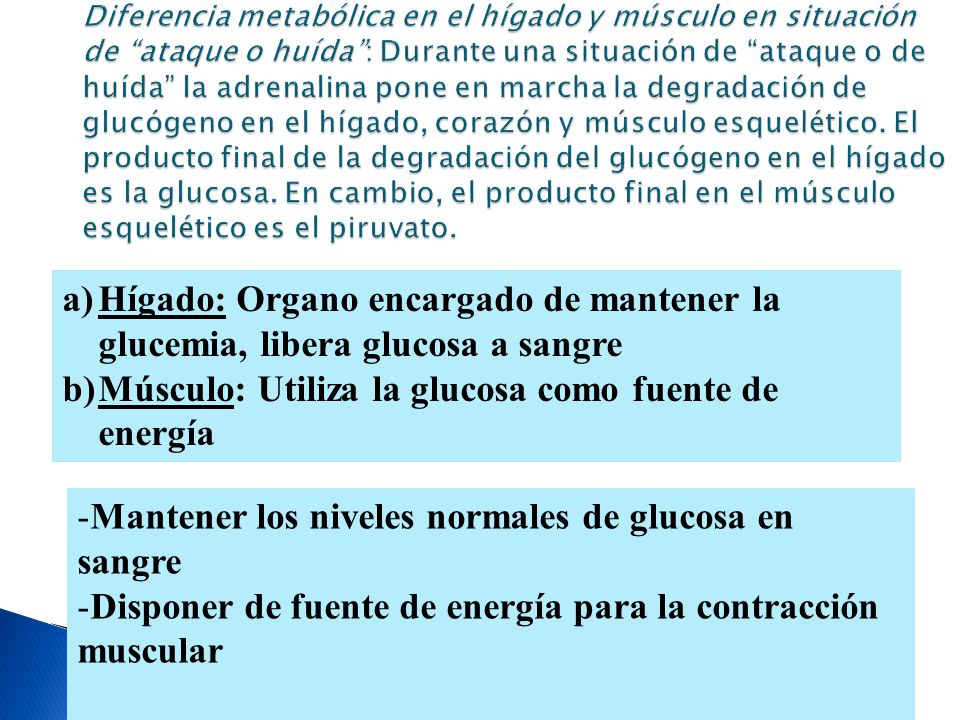 LIC. NUTRICIÓN Y ANALISTA BIOLÓGICO QUÍMICA BIOLÓGICA ppt LIC. NUTRICIÓN Y ANALISTA BIOLÓGICO QUÍMICA BIOLÓGICA ppt