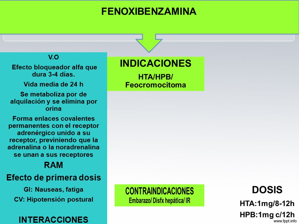 Efedrina farmacologia Efedrina farmacologia