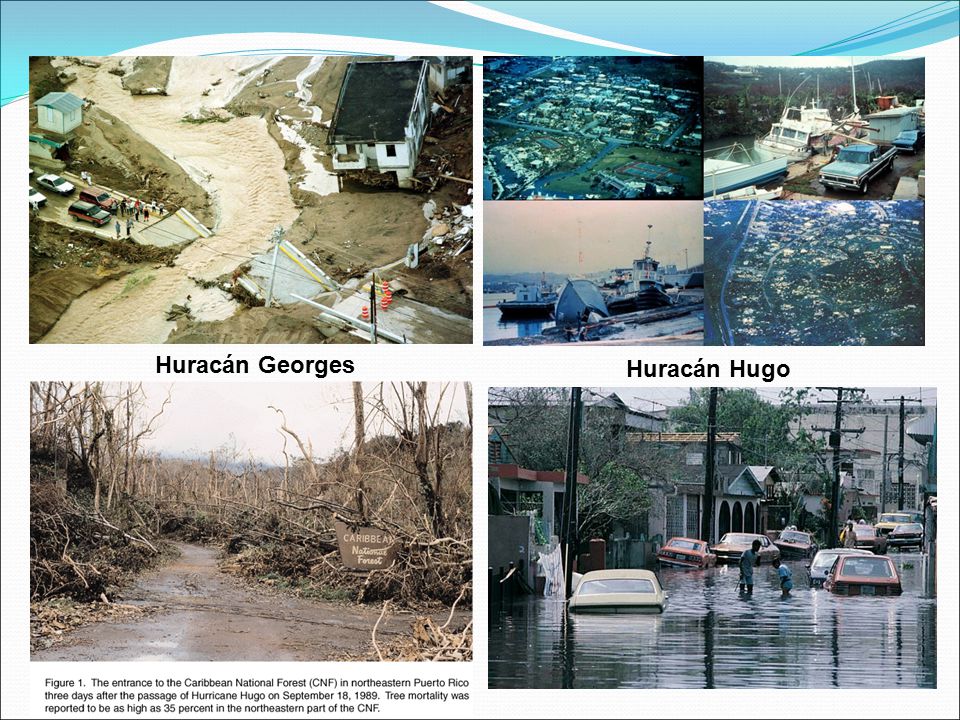 Betsy Vidal - Puerto Rico (5/15/12)