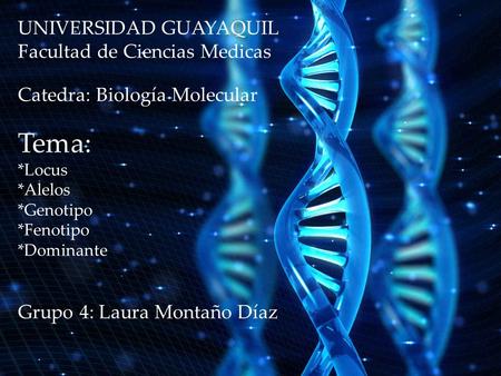 UNIVERSIDAD GUAYAQUIL Facultad de Ciencias Medicas Catedra: Biología Molecular Tema: *Locus *Alelos *Genotipo *Fenotipo *Dominante Grupo 4: Laura Montaño.