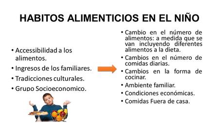 HABITOS ALIMENTICIOS EN EL NIÑO Accessibilidad a los alimentos. Ingresos de los familiares. Tradicciones culturales. Grupo Socioeconomico. Cambio en el.