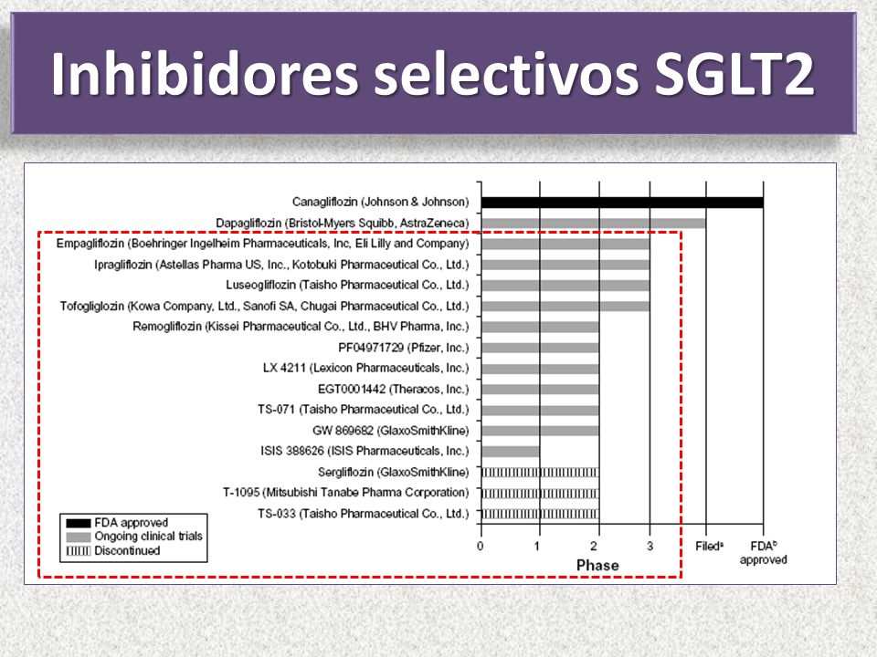 Jornadas de Actualización en Endocrinología - ppt descargar Jornadas de Actualización en Endocrinología - ppt descargar