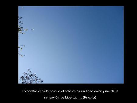 Fotografié el cielo porque el celeste es un lindo color y me da la sensación de Libertad … (Priscila)
