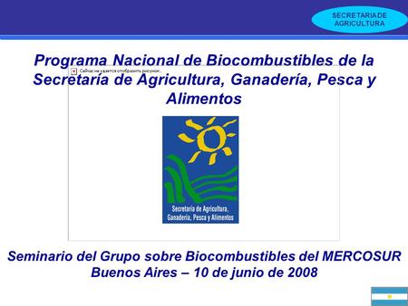 Programa Nacional de Biocombustibles de la Secretaría de Agricultura, Ganadería, Pesca y Alimentos Seminario del Grupo sobre Biocombustibles del MERCOSUR.