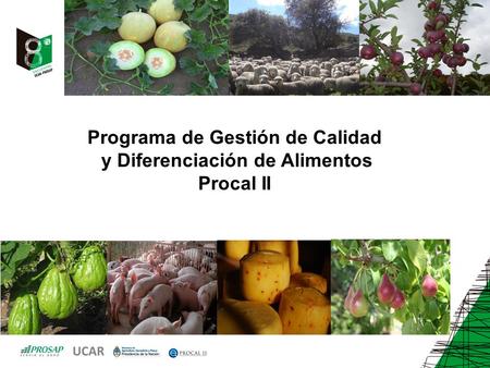 Programa de Gestión de Calidad y Diferenciación de Alimentos Procal II