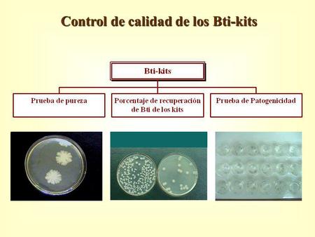 Control de calidad de los Bti-kits