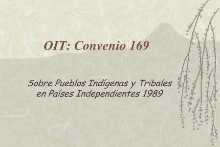 Sobre Pueblos Indígenas y Tribales en Países Independientes 1989