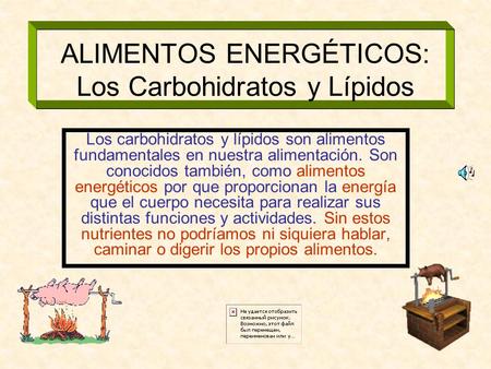 ALIMENTOS ENERGÉTICOS: Los Carbohidratos y Lípidos