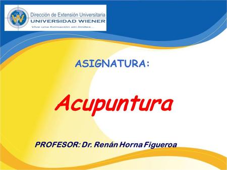 PROFESOR: Dr. Renán Horna Figueroa