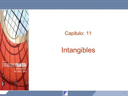 Capítulo: 11 Intangibles.