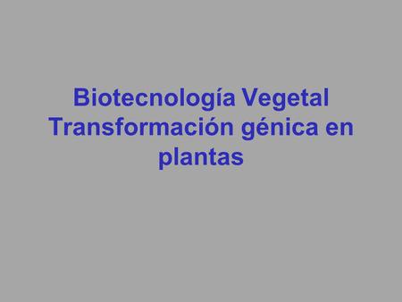 Biotecnología Vegetal Transformación génica en plantas