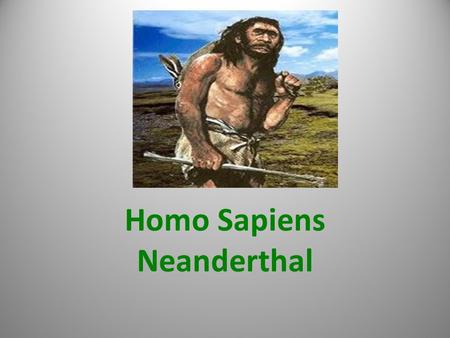 Homo Sapiens Neanderthal