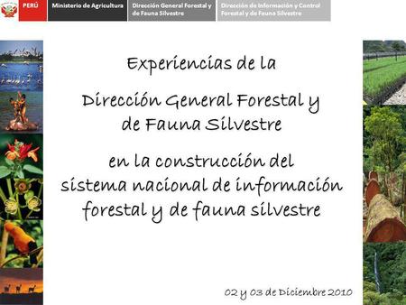 Dirección General Forestal y de Fauna Silvestre