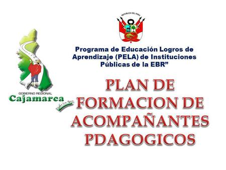 PLAN DE FORMACION DE ACOMPAÑANTES PDAGOGICOS