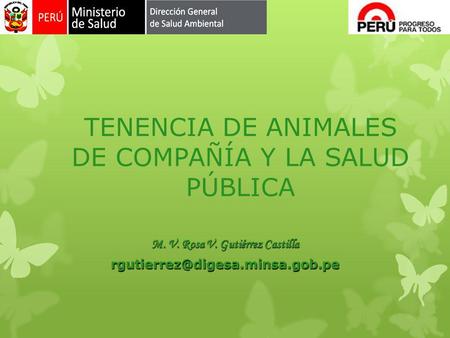 TENENCIA DE ANIMALES DE COMPAÑÍA Y LA SALUD PÚBLICA