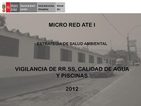 MICRO RED ATE I ESTRATEGIA DE SALUD AMBIENTAL VIGILANCIA DE RR