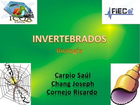 INVERTEBRADOS Biología Carpio Saúl Chang Joseph Cornejo Ricardo.